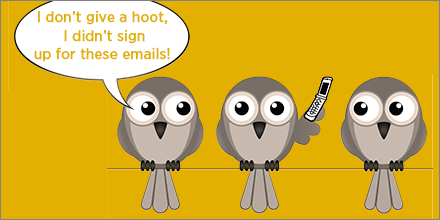 spam complaints owls